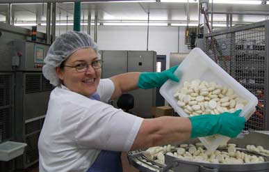 A Bel Brands employee at work; the company has decided to build a new plant in South Dakota.