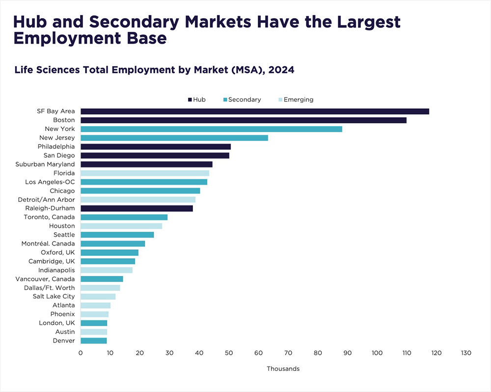 Source: Lightcast, Cushman & Wakefield