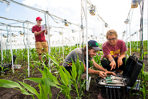 Iowa State University students work in one of the university's research fields. Iowa State recently won an award from the Association of Public and Land Grant Universities recognizing the school's excellence in developing an educated workforce.